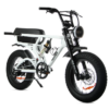 Fatfish Grime Fat Tyre E-Bike